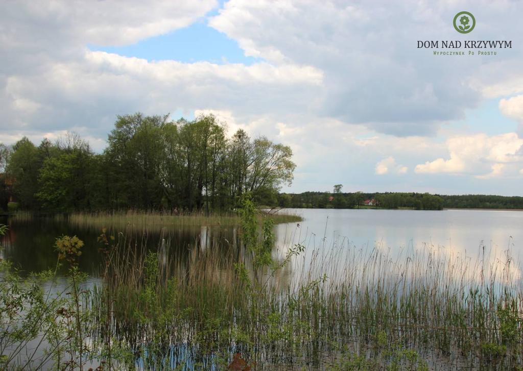 Dom Nad Krzywym - Prywatna Plaza, 2 Boiska, Sauna, Plac Zabaw Krzywe  Экстерьер фото